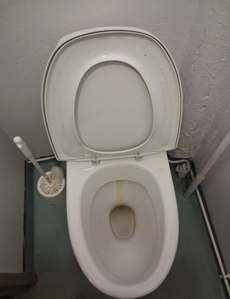 wc pönttö
